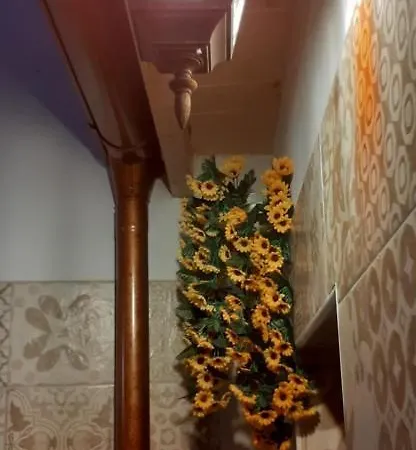 Apartman Casetta Del Parco